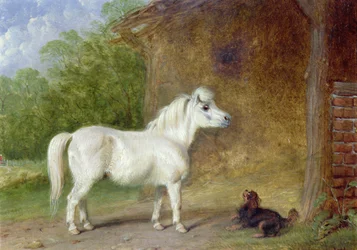 Um pônei de Shetland e um King Charles spaniel (placa)